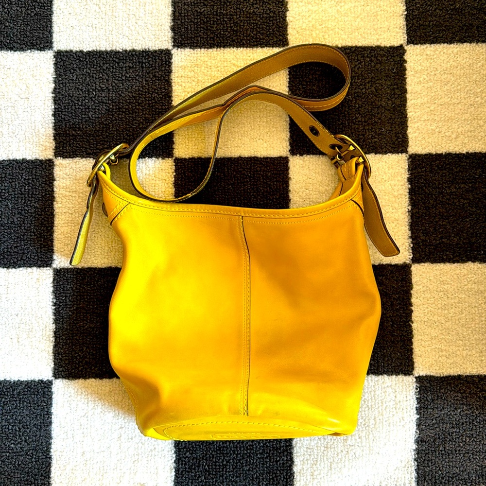 Coach bucket crossbody bag